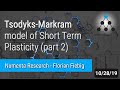 Tsodyks-Markram model of STP (part 2)