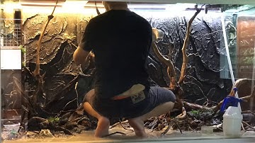 How to build And design the big fish tank part 5 (KV DESIGN) #fishtankdesign #bigfishtank