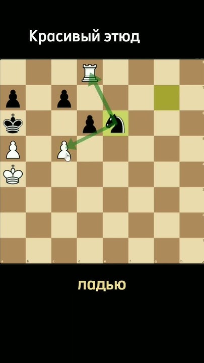 Красивый шахматный этюд #chess #шахматы #этюд - YouTube