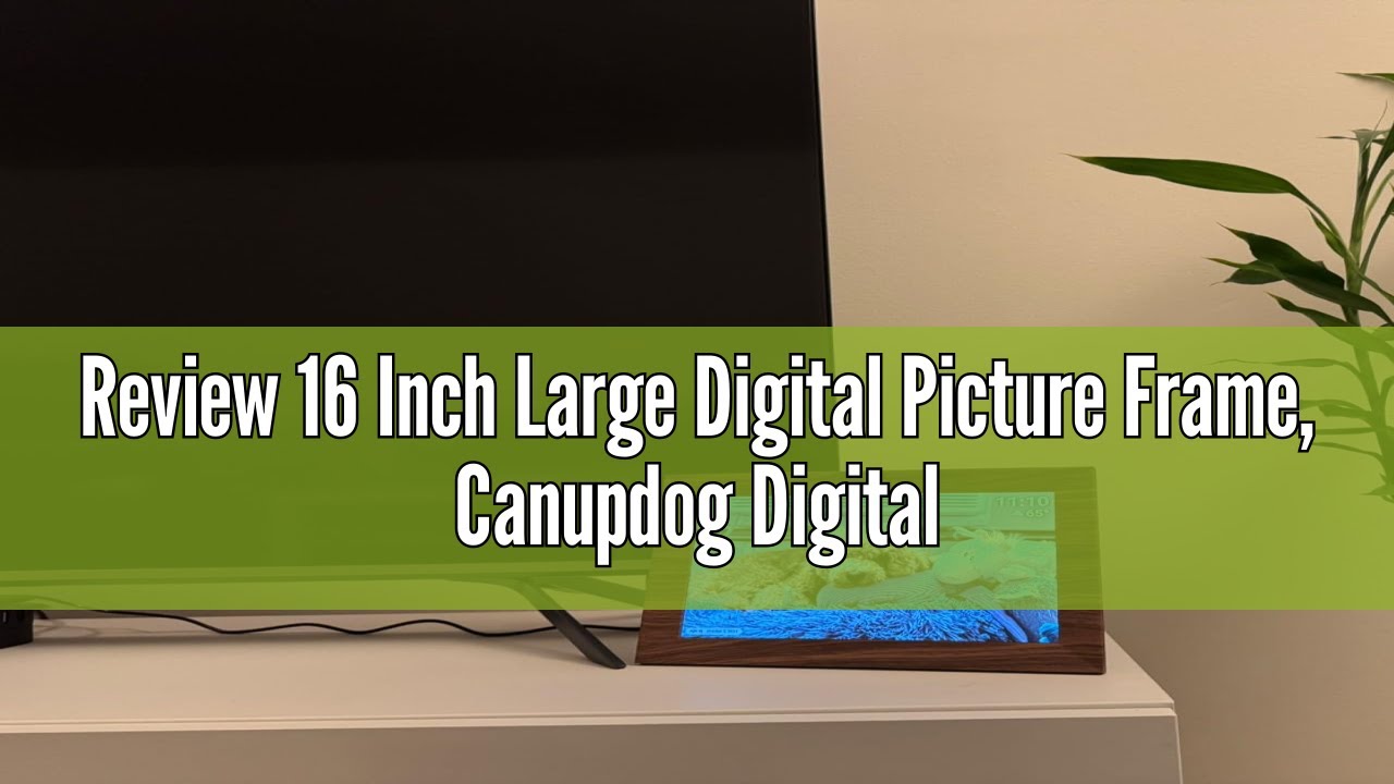 16 Inch Large Digital Picture Frame, Canupdog Digital Photo