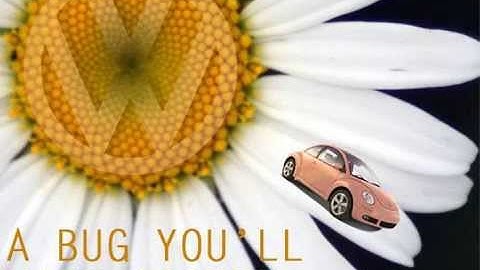 Flash Promotional Video