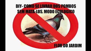 DIY - Como se livrar  dos POMBONS ECOLOGICAMENTE - How to get rid of pigeons the ECOLOGICAL way