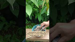 Download Lagu DENGARKAN SOLAWAT AGAR REZEKI LANCAR #sholawat #doa #motivation #munajaat #viralshort #fypシ゚viral MP3 Download Lagu DENGARKAN SOLAWAT AGAR REZEKI LANCAR #sholawat #doa #motivation #munajaat #viralshort #fypシ゚viral MP3