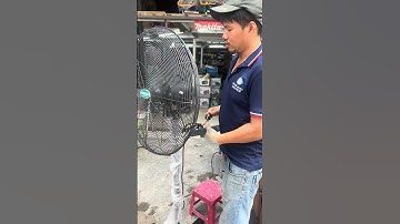 Quạt cây công nghiệp các loại giá rẻ #quạtcôngnghiệp #quatdien #shortvideo