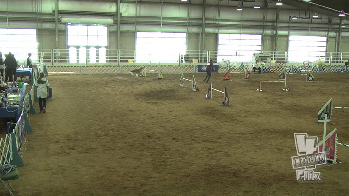 Red and Amanda Smelser 20" JWW AKC NAC 2016