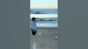 Thumbnail of How to READ the beach: Where are the fish? 🐟❓
