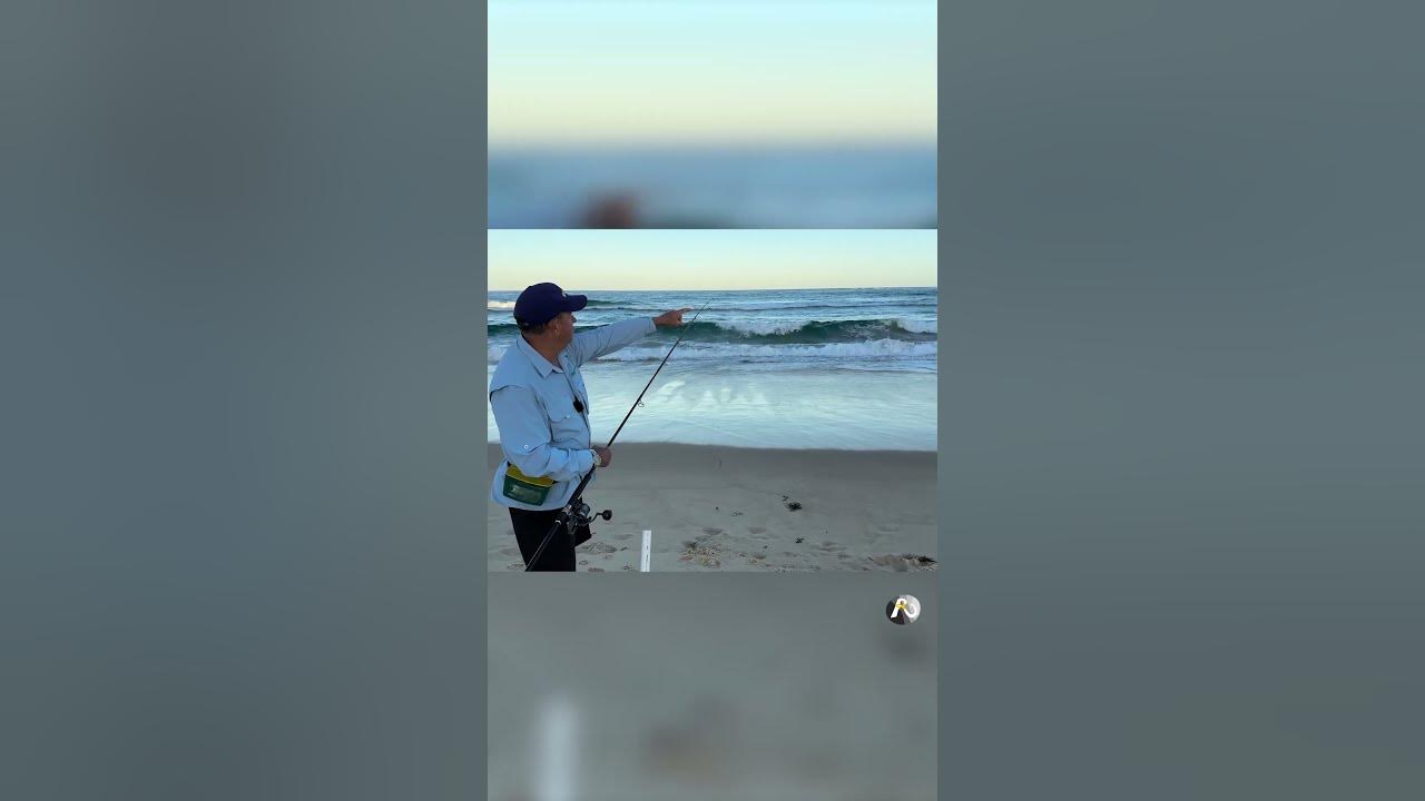 How to READ the beach: Where are the fish? 🐟❓