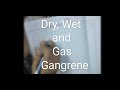 General Pathology lecture-5 _ Gangrene (hindi) (Dry, wet and gas gangrene)