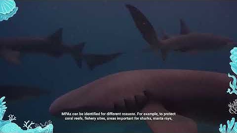 Introductory videos to Marine Protected Areas (MPAs) in the Maldives