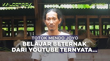 JATUH BANGUN BELAJAR BETERNAK KAMBING DARI YOUTUBE | KALCERSOK