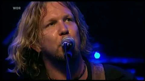 DEVON ALLMAN'S HONEYTRIBE - Wild Horses