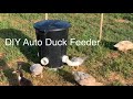 DIY Automatic, Mess-Free, NO WASTE Duck and Chicken Feeder