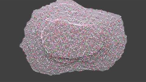 Simple glycolisis simulation