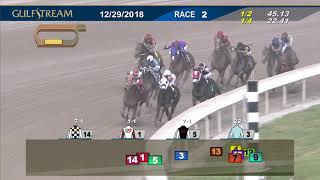 Gulfstream Park December 29, 2018 Race 2