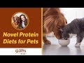 Novel Protein Diets for Pets