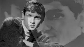 Half Heaven, Half Heartache  GENE PITNEY