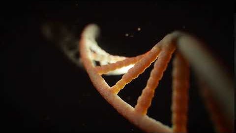 DNA helix animation No Copyright Video l StockrCC0