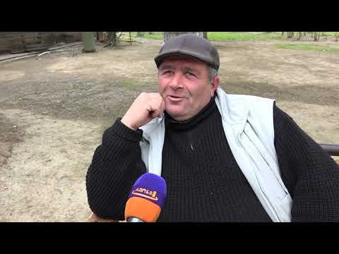 თამბაქოს  ფასმა  20-50  თეთრით  მოიმატა