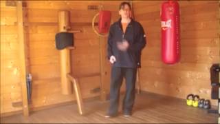Wing Chun Six Sets Tansau