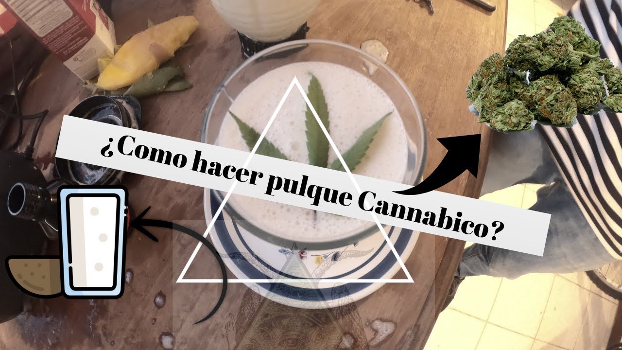 Pulque Cannabico