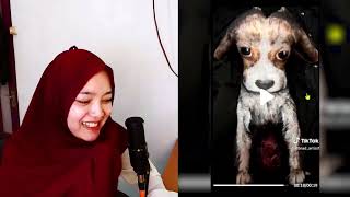ASUPAN SPECIAL PEMERSATU BANGSA KETIKA CEWE BERUBAH - VIDEO REACTION TIKTOK - VIDEO REACTION MEME