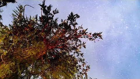 Brian Eno - An Ending Ascent [Extend mix]