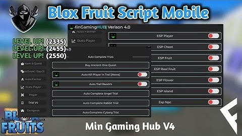 BLOX FRUITS Script Pastebin 2024 AUTO FARM, V4, Mirrage Island | Working In Delta, Arceus, Fluxus |