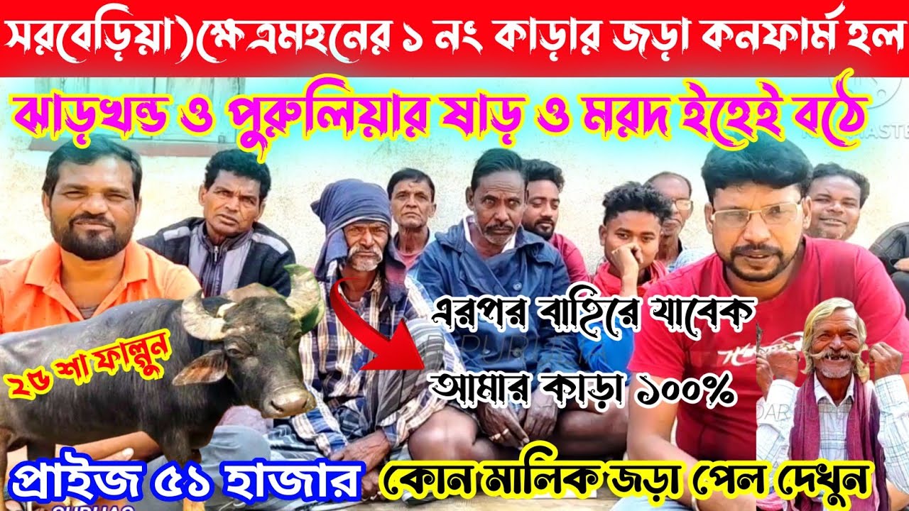 ক্ষেত্রমহনের ১ নং কা*ড়ার জড়া কনফার্ম হল,ঝাড়খন্ড ও পুরুলিয়ার মরদ ও ষাড় কা*ড়া বঠে ইহেই ৫১ হাজার👈