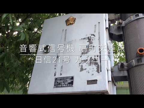 【音響式信号機】扇町交差点の日信21号カッコー