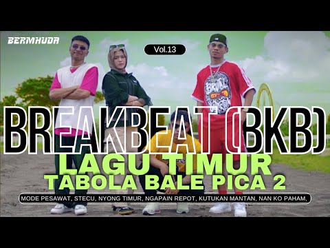 BREAKBEAT (BKB) LAGU TIMUR VIP VOL.13 MIXTAPE | DOWNLOAD SETLIST ALL TRACK