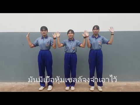 Kingdom Monera(อาณาจักรมอเนอรา) By ราเมือก&สปีชีส์