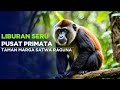 MELIHAT KEAJAIBAN PUSAT PRIMATA TERBESAR DI DUNIA! Part2
