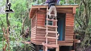 Building a Tiny House Among the Trees