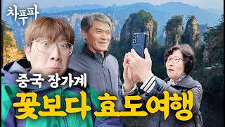 ⛰️ 장가계 (张家界), 꽃보다 효도 여행 【중국 후난】