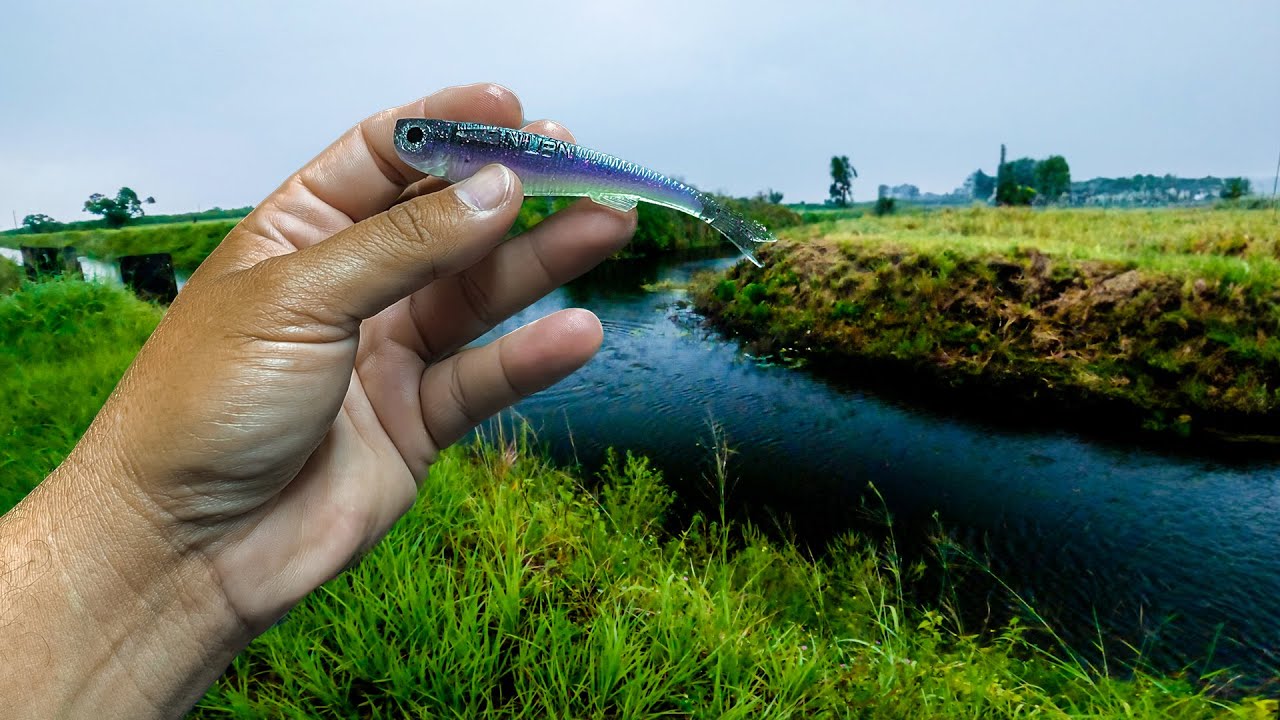 1ST TIME using a NLBN Mini Mullet! it got SMOKED! 