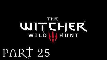 The Witcher 3 Wild Hunt - Pyres of Novigrad - Part 25 | PC ULTRA (1080p HD)