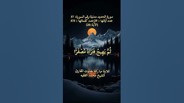سورة الحديد، [الآية:20] تلاوة مباركة بصوت القارئ الشيخ محمد الفقيه #المصحف #محمد_الفقيه #قران_كريم