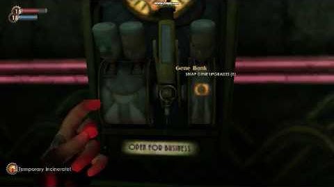 New Real Plasmid- Temporary Incinerate!