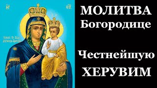 Молитва - Богородице! Честнейшую Херувим и славнейшую без сравнения Серафим!