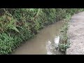 microfishing, mancing di irigasi sawah