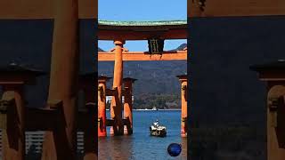 ⛩️ Floating Torii Gate 🎎 #Shorts