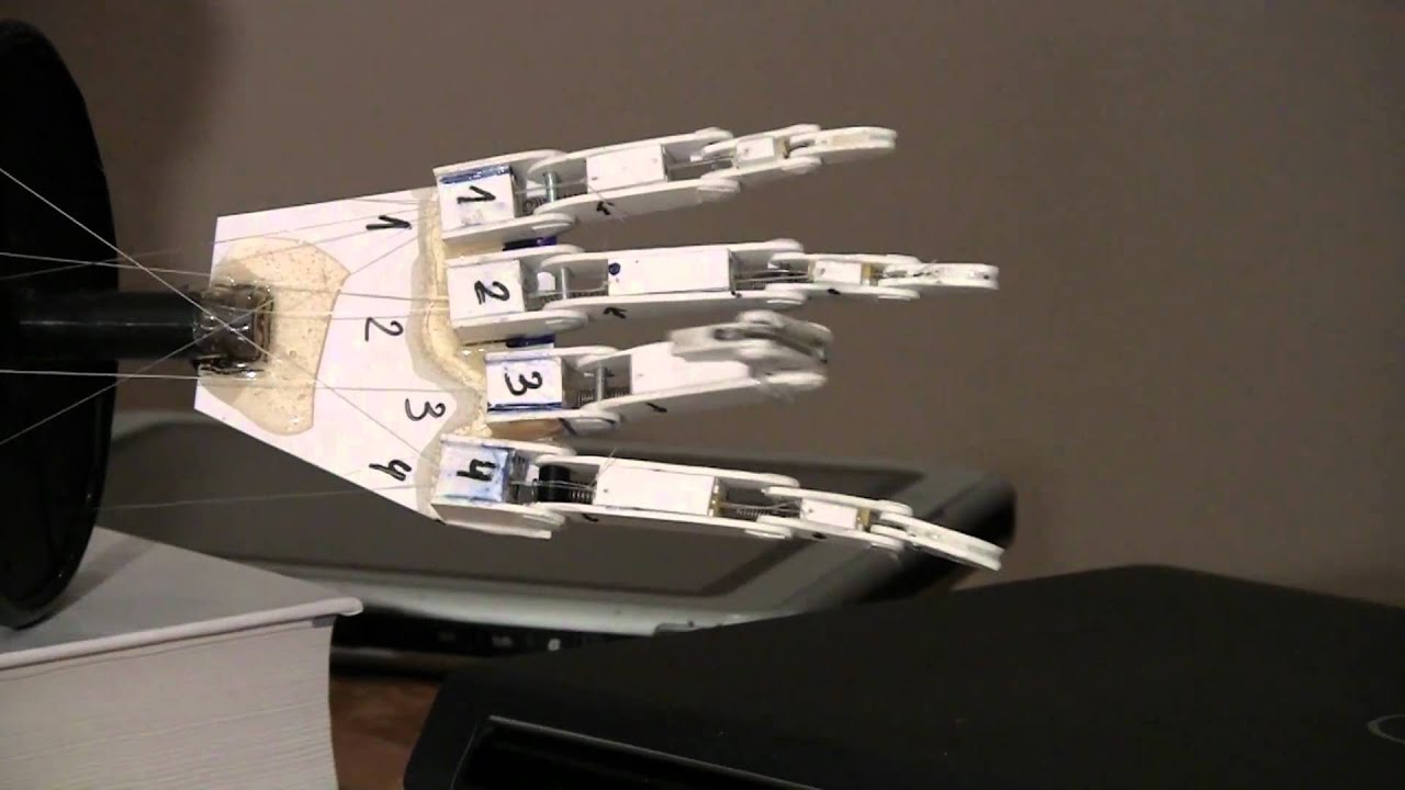 what is a prosthetic group class 12 what is a prosthetic group class 12