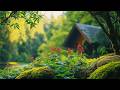 心靈療癒鋼琴曲 🌿 放鬆音樂・舒壓助眠・平靜心靈