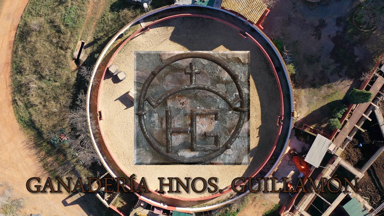 HERMANOS GUILLAMÓN, GANADERÍA DE MORÓ