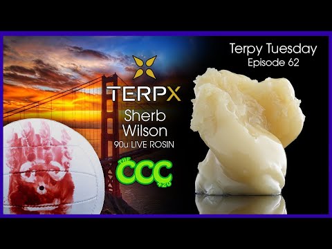 Terpy Tuesday Episode 62: TerpX Sherb Wilson 90u Live Rosin