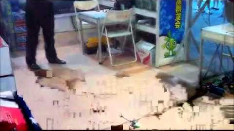 Flying Video WASP 100 Nano Mini Helicopter R/C Skyartec