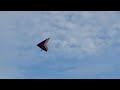 Steve Wendt @ Blue Sky Hang Gliding