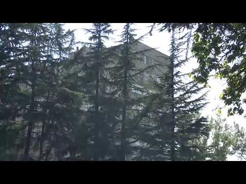 21 აგვისტოდან  დასავლეთ საქართველოში  ჰაერის ტემპერატურა დაიკლებს