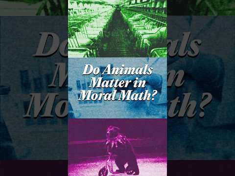 Do Animals Matter in Moral Math?