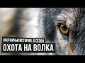 Охота на волка \ Охотничьи истории \ #3